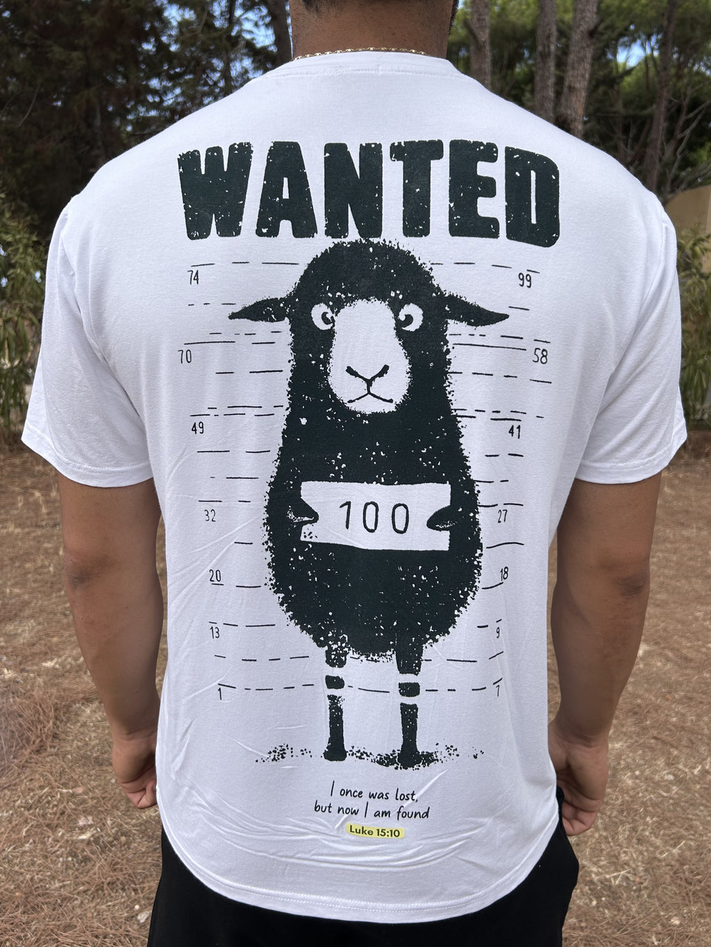 Wanted Sheep