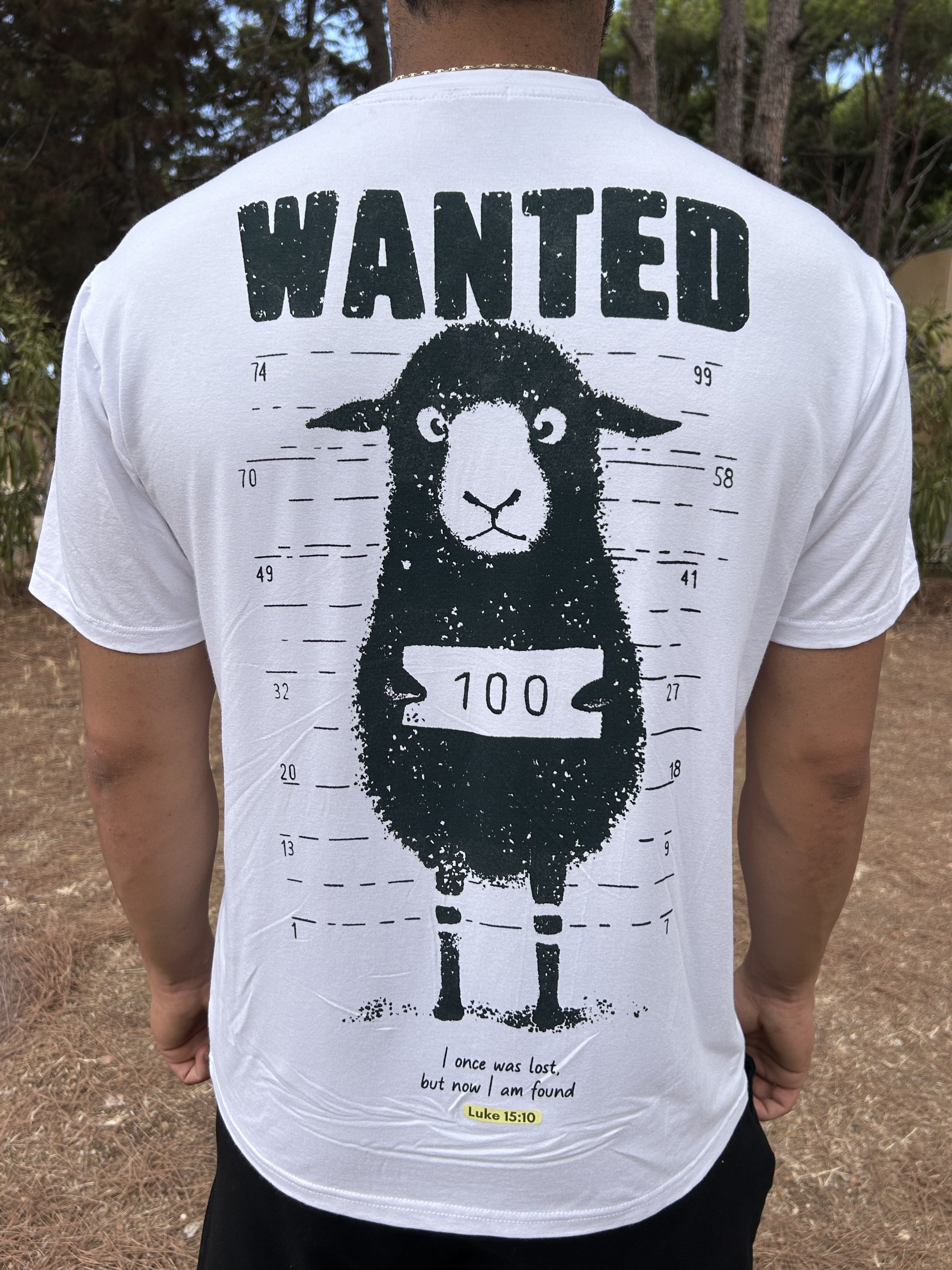 Wanted Sheep